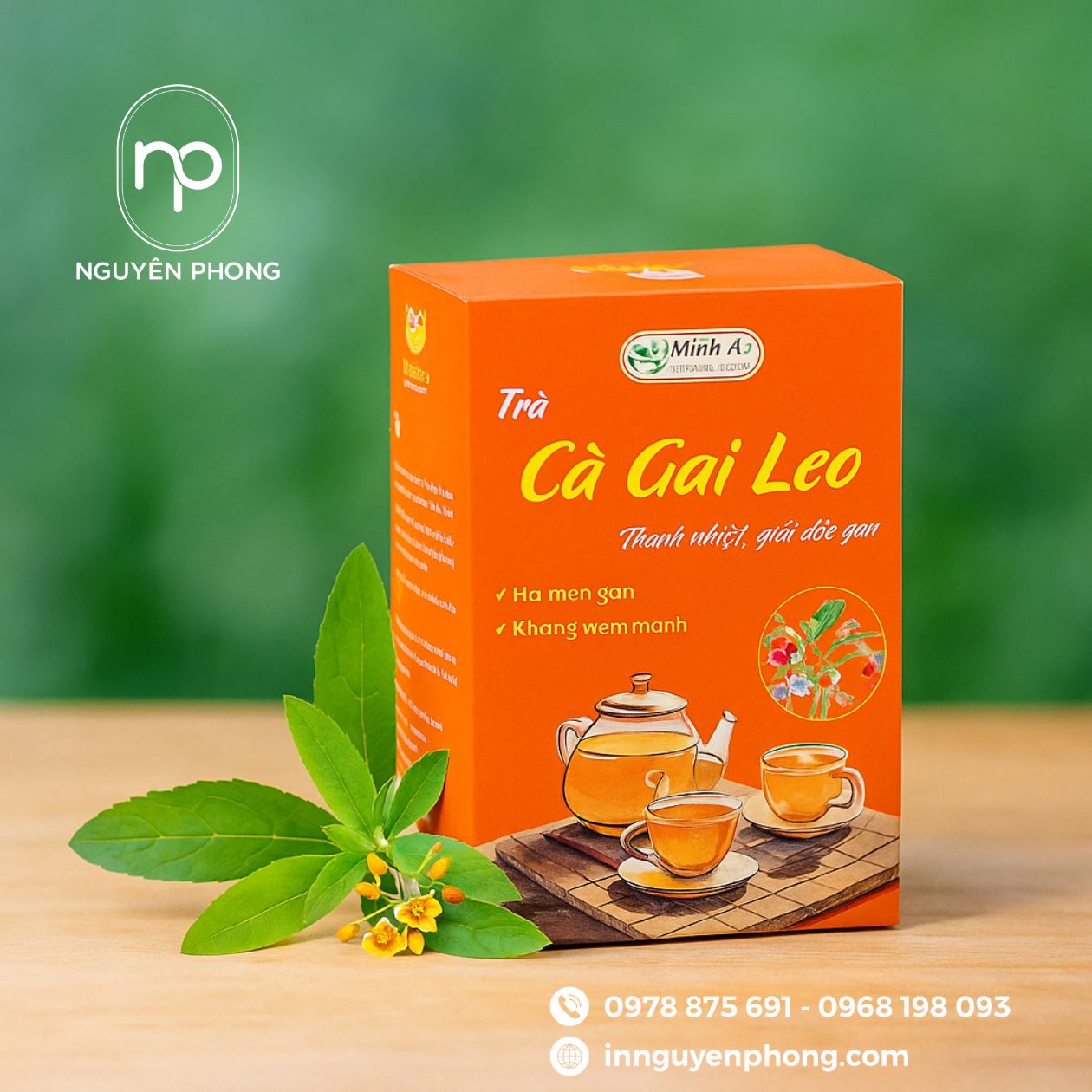 mẫu hộp đựng cà gai leo